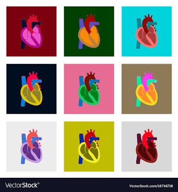Icons set in flat style human organ heart vector image