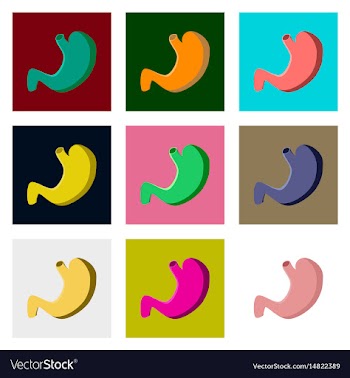 Icons set in flat style human organ stomach vector image