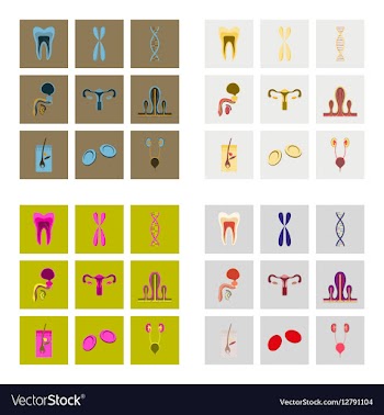 Icons set in flat style human organs cell vector image