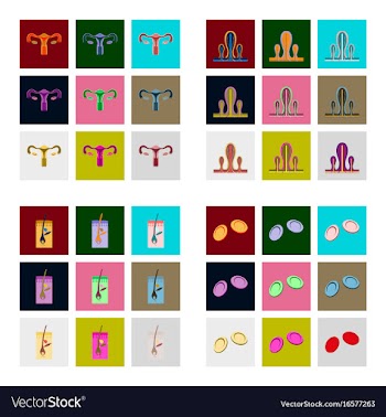 Icons set in flat style human organs cell vector image
