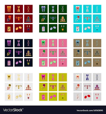 Icons set in flat style human organs cell vector image