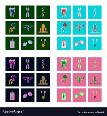 Icons set in flat style human organs cell vector image