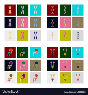 Icons set in flat style human organs cell vector image