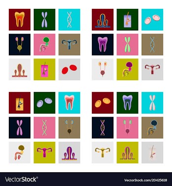Icons set in flat style human organs cell vector image