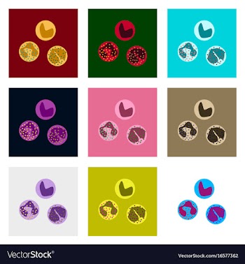 Icons set in flat style leukocyte vector image