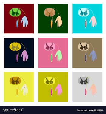 Icons set in flat style reflex arc vector image