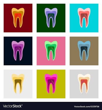Icons set in flat style tooth vector image