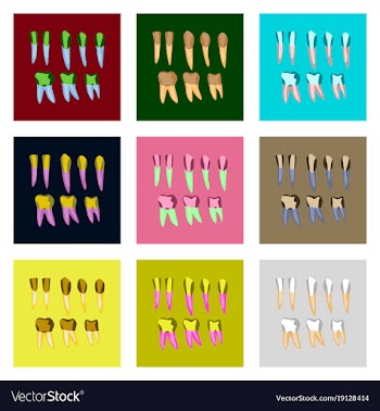 Icons set in flat style tooth vector image