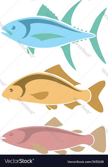  					Icons tuna carp and trout vector image														