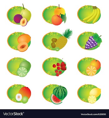 Icons with fruits vector image