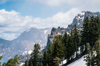 Icy Mountain Slope With Pine Trees