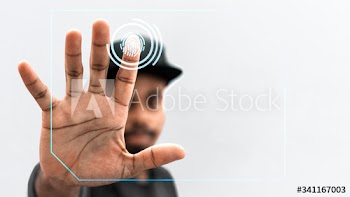 Identification scanning system
