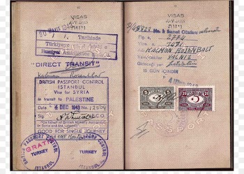 Identity document Europe Turkish passport Travel visa - passport 