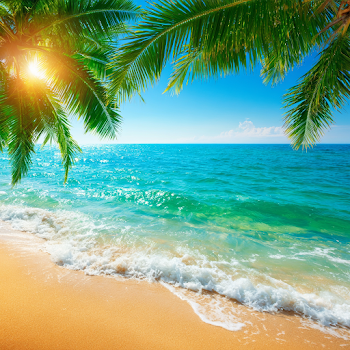 Idyllic Tropical Paradise Beach