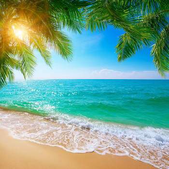 Idyllic Tropical Paradise Beach