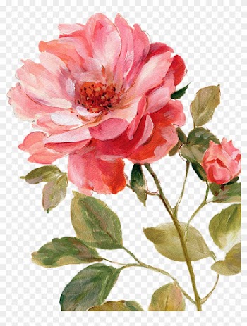 Çiçekler Png Clipart Lisa Audit - Harmonious Rose Linen Poster Print By Lisa Audit