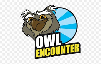 If You'd Like An Extra Special Experience With Owls - If You'd Like An Extra Special Experience With Owls