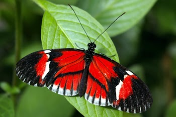 _IGP39602.jpg