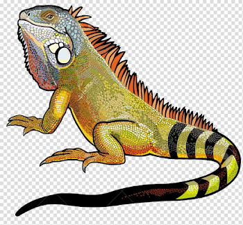Iguana PNG File Vector, Clipart, PSD - peoplepng.com