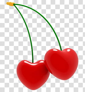 II, red cherry fruit illustration transparent background PNG clipart