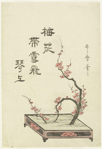 Ikebana arrangement of a plum | Free Photo - rawpixel