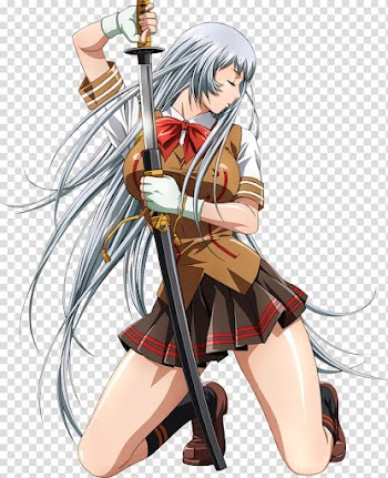 Ikki Tousen Anime Ikkitousen: Dragon Destiny Mangaka, Anime transparent background PNG clipart