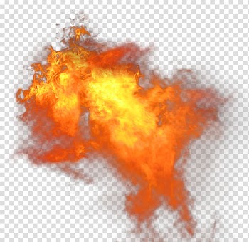 Illinois Fire & Safety Company Flame, fire transparent background PNG clipart
