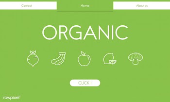 Illsutrated of organic food background | Free stock vector - 395122