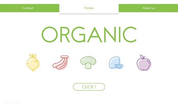 Illsutrated of organic food background | Free stock vector - 395123