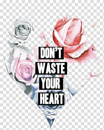 Illustrated, Don't Waste Your Heart transparent background PNG clipart