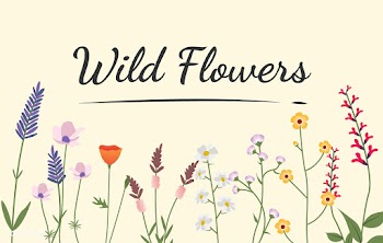 Illustrated wild flowers | Free stock vector - 4274