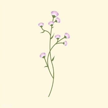Illustrated wild flowers | Free stock vector - 4276