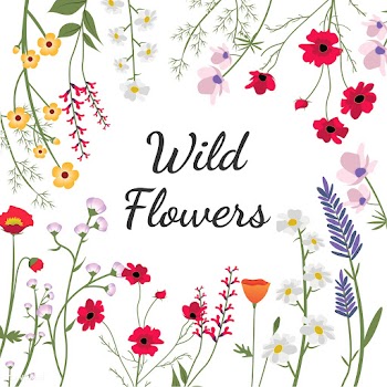 Illustrated wild flowers | Free stock vector - 4285