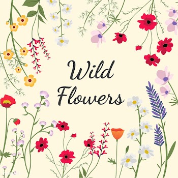 Illustrated wild flowers | Free stock vector - 4286