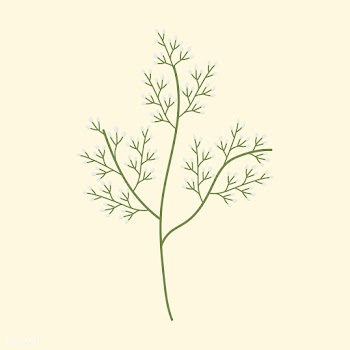 Illustrated wild flowers | Free stock vector - 4287