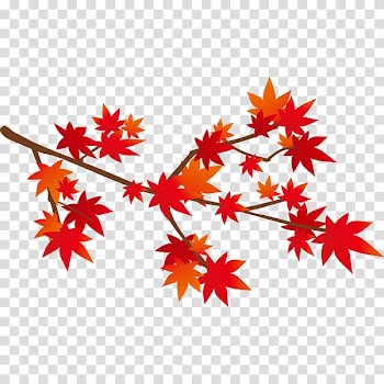 Illustration Autumn leaf color Monochrome painting Graphics Design, transparent background PNG clipart