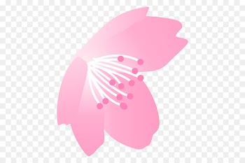 Illustration Cherry blossom Graphics Flower Petal -  