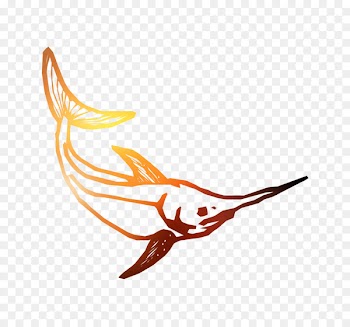 Illustration Clip art Bird Beak Line -  