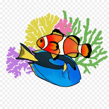 Illustration Clip art Cartoon Fish Beak - clownfish button 