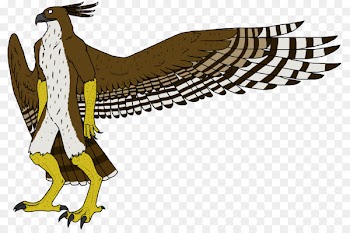 Illustration Clip art Fauna Beak Feather - avis mockup 