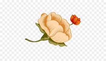 Illustration Clip art Flower Borders and Frames Image - clear beige 