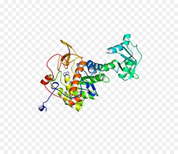 Illustration Clip art Line Point Product - bacteria ribbon 