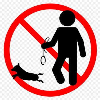 Illustration Clip art Millimeter Text Human behavior - baja poster 