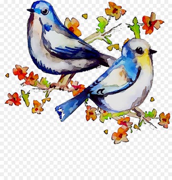 Illustration Clip art Painting Fauna Color -  