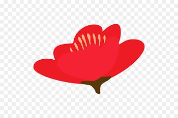 Illustration Clip art Petal Vector graphics Plants -  