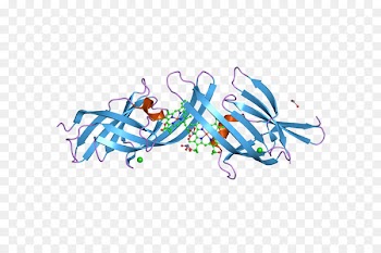 Illustration Clip art Product design Desktop Wallpaper - antibody cartoon 