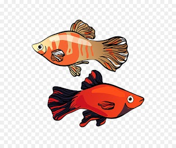 Illustration Clip art Southern platyfish Graphics - platy stamp 