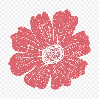 Illustration Clip art Vector graphics Flower Transvaal daisy - afghanistan stamp 
