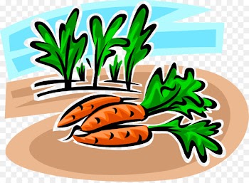 Illustration Clip art Vegetable Fruit Commodity - carottes vector 