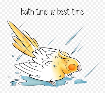Illustration Cockatiel Clip art Pet Calendar - esp 